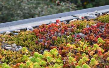 the cost of Buckhurst green roof installation