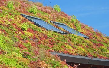 Buckhurst living roof systems
